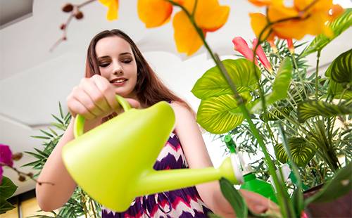 Девушка поливает орхидею