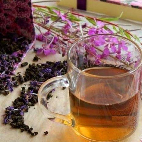 Заваривают ли цветки иван-чая, полезные свойства травы