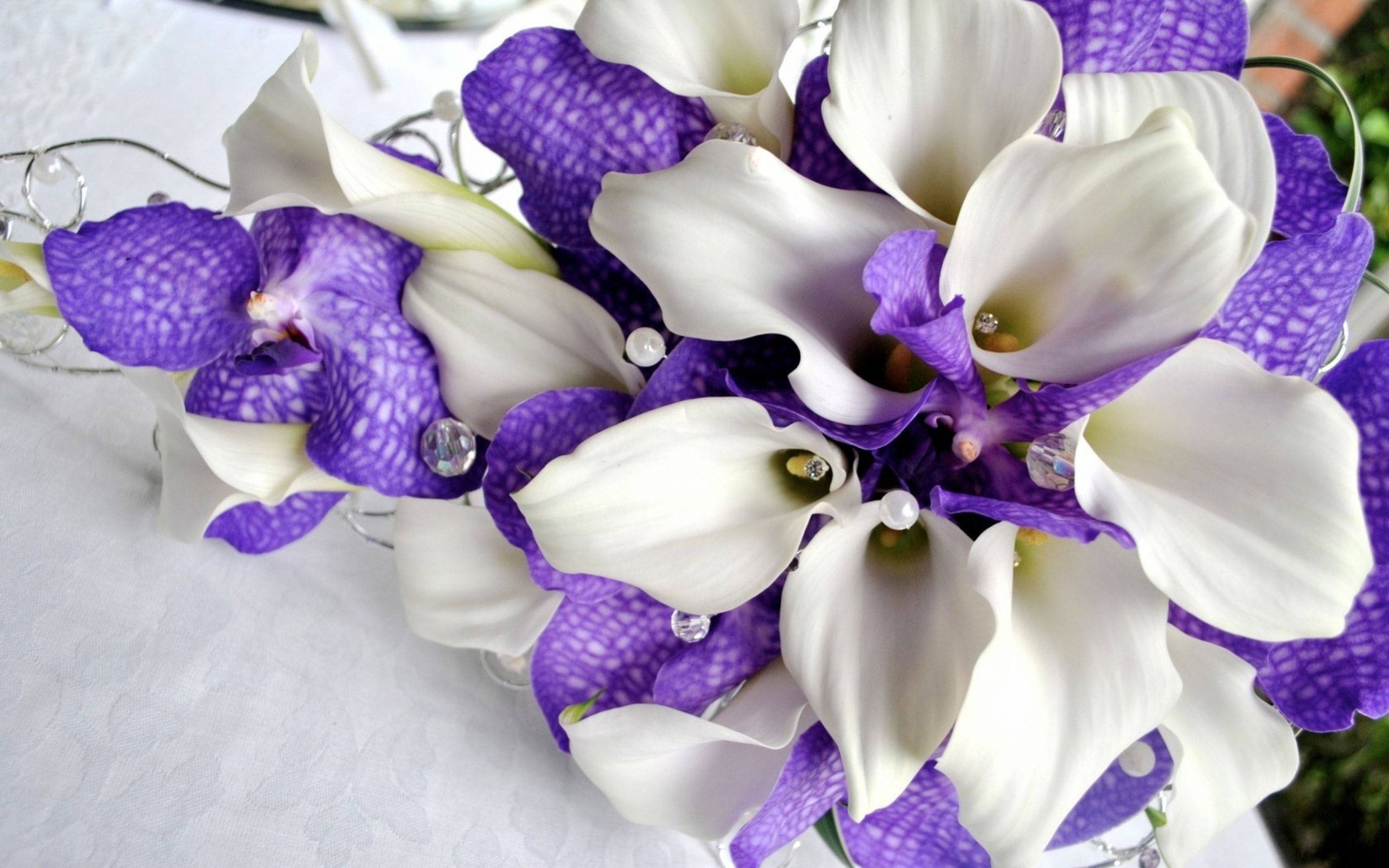 букет для невесты из орхидей