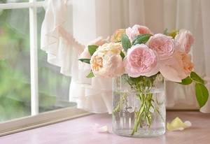 Описание нюансов сохранения роз в вазе на долгий срок