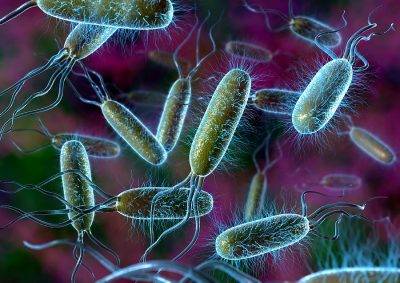 Патогенные микроорганизмы в воздухе