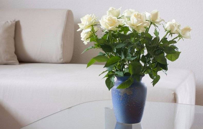 Как сохранить цветы в вазе подольше розы