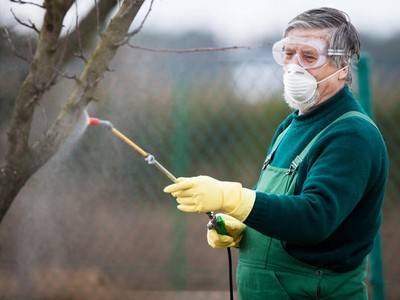 Пестициды - химическая защита растений от болезней и вредителей
