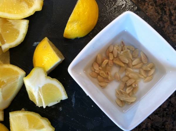 Для выращивания необходимо выбрать правильный сорт лимона, плод должен быть спелым, семена крупными