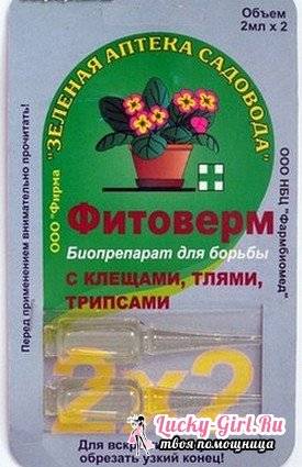 Фитоверм для комнатных растений: инструкция по использованию