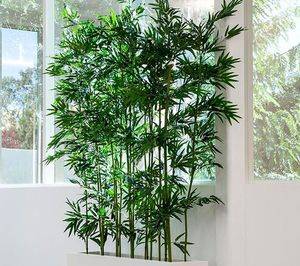 Цветок бамбук