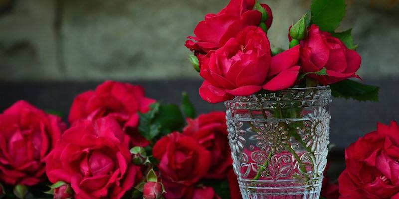К чему дарят красные розы