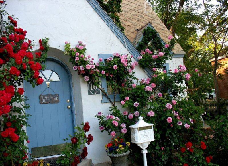 домик с розами