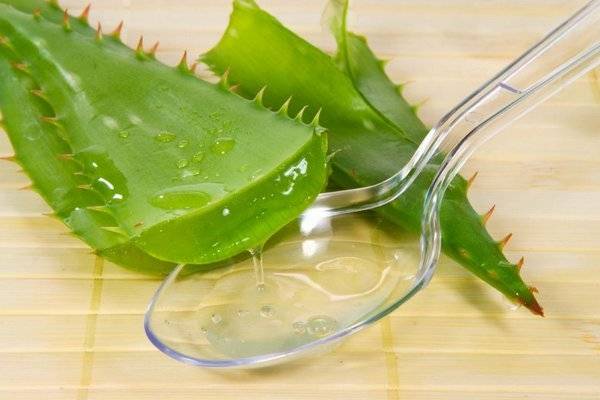 Aloe receptek a prosztatitisből alhasi fájdalom barna folyás
