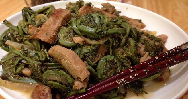 Папоротник с мясом - рецепты приготовления оригинальных азиатских блюд на любой вкус!