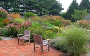Декоративные злаки и травы в дизайне сада