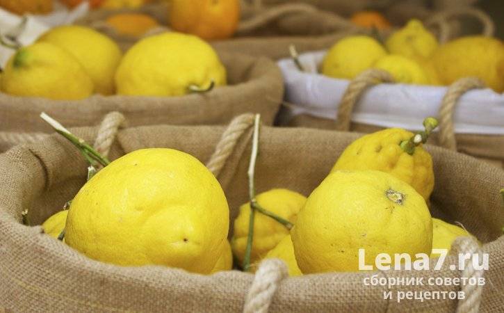 Хранение лимонов в домашних условиях