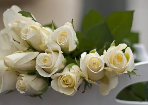 Букет белых роз выражает восхищение, заботу, искренние и теплые чувства