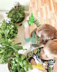 6 лучших растений для детской комнаты - Какие растения не подходят для детской?