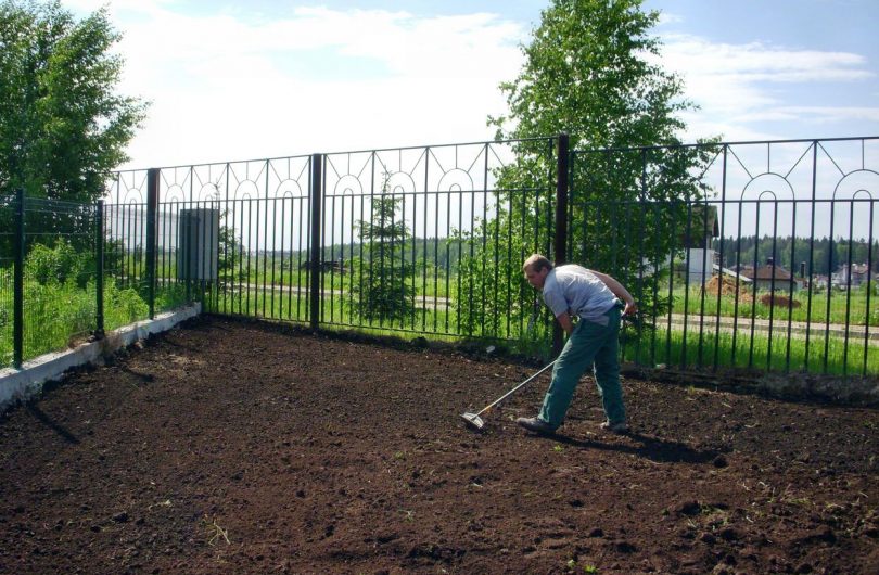 Как посадить газонную траву на участке