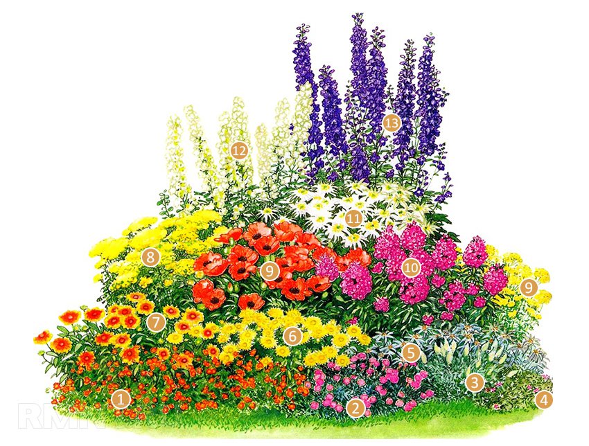 Как сделать клумбу и посадить цветы, цветущие все лето
