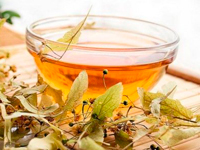 полезные свойства и противопоказания липового чая