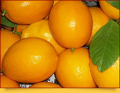Оранжевый лимон