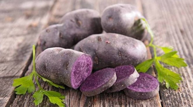 Картофель фиолетовый полезные свойства