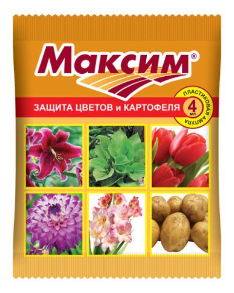 Протравитель луковиц цветов от гнили Максим